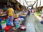 ベトナムの魚が並ぶ魚市場
