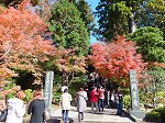 鎌倉五山第二位の円覚寺総門の紅葉
