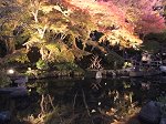 放生池に写る紅葉