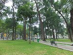 統一会堂前の緑の多い公園