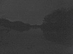 川辺に数え切れないホタルの光の点滅。フラッシュ禁止なのでホタルの明かりは見えない