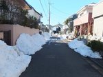 道路にうず高く積まれた雪