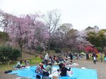 2016三ツ池公園11.jpg