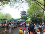 2016上野動物園7.jpg