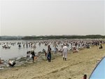 2016海の公園潮干狩り3.jpg