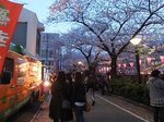 2016目黒川夜桜5.jpg