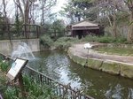 2016金沢動物園25.jpg