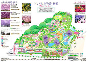 2025あしかがフラワーパーク.jpg