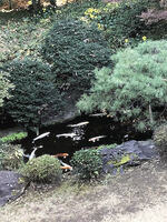 2025旧前田家本邸45.jpg