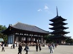 興福寺の五重塔と東金堂
